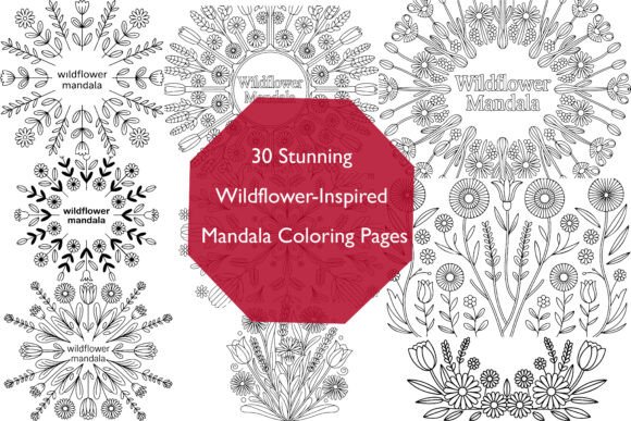 Beyond Coloring: Wildflower Mandala Graphics for Editorial Impact