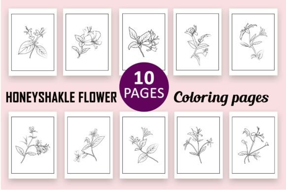 Honeysuckle Flower Graphics for Adult Coloring Pages